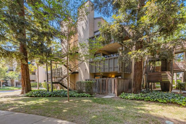 5376 Makati Circle, San Jose CA: https://media.crmls.org/mediaz/997356c8-c854-4543-b646-5ed73a3744f6.jpg