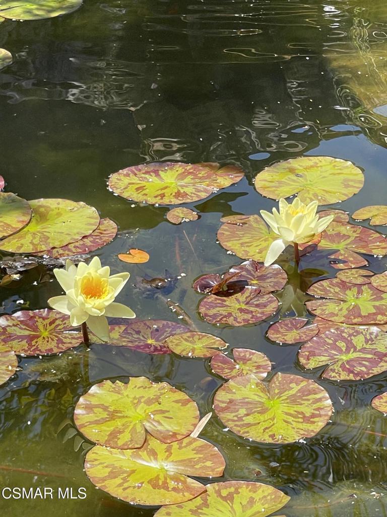 https://media.crmls.org/mediaz/9978f16f-fc4c-4165-8de8-0368e6d02d5d.jpg?preset=X-Large