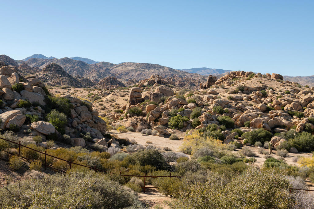 MLS #219138798DA image #28