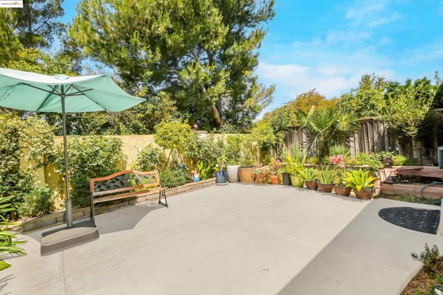 44765 Lynx Dr, Fremont CA: https://media.crmls.org/mediaz/998bc52e-5d8c-4b05-afa3-00f4aaf99ae9.jpg