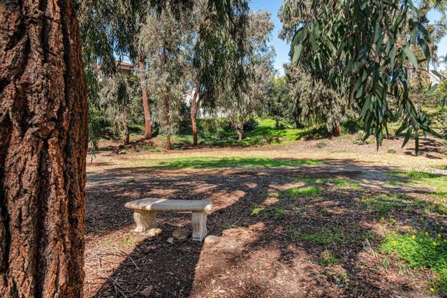 4430 Caminito Ocio, San Diego CA: https://media.crmls.org/mediaz/99957bd4-ceeb-4924-98ce-99649645e539.jpg