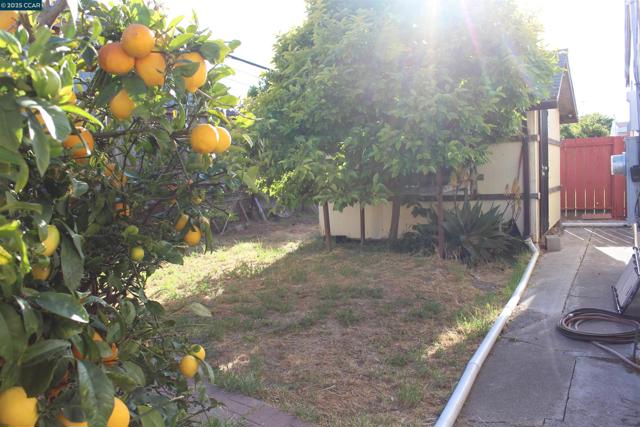 2956 Mckenzie Dr, Richmond CA: https://media.crmls.org/mediaz/9997a471-d660-4907-92d7-448b7b723e9b.jpg