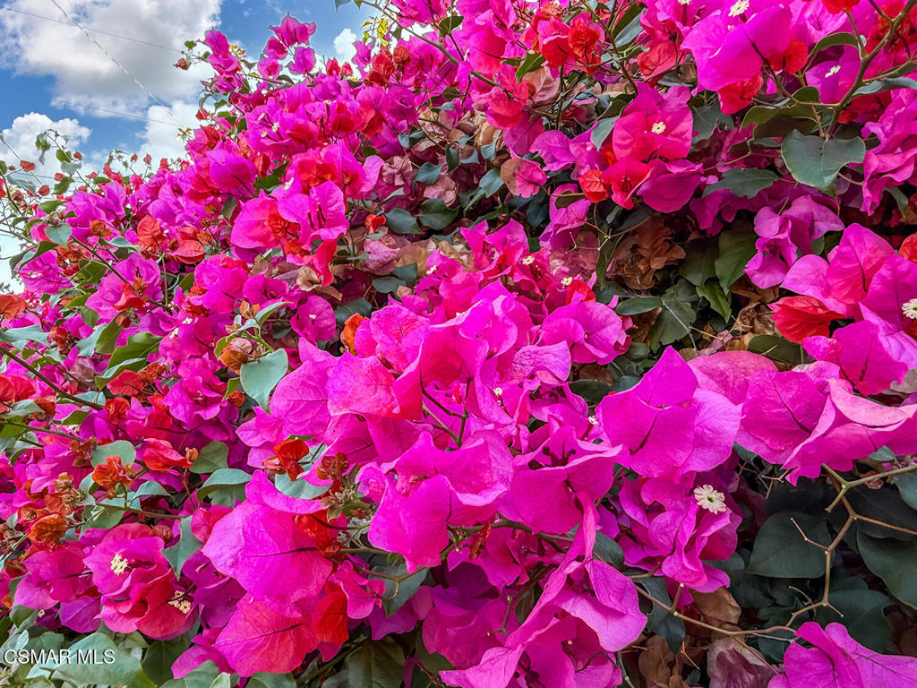 MLS #225003734 img 43