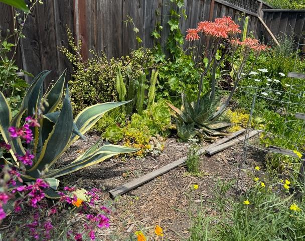 2155 Peachtree Lane, San Jose CA: https://media.crmls.org/mediaz/99aa894b-0312-4029-b46a-4302201a50ac.jpg
