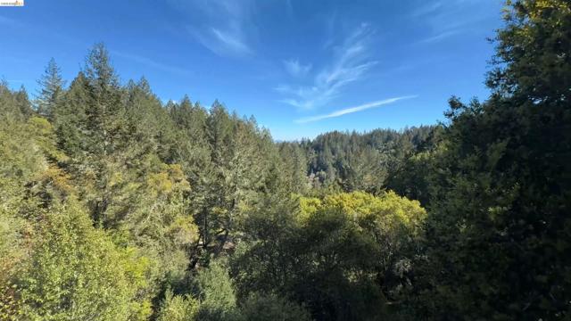 5051 Harrison Grade Rd, Sebastopol CA: https://media.crmls.org/mediaz/99adf69e-0eba-480b-ba07-a58c07cc970a.jpg