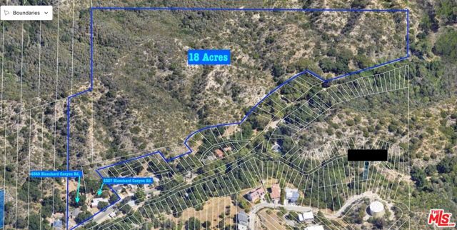 6349 Blanchard Canyon Road, Tujunga CA: https://media.crmls.org/mediaz/99aed118-8e17-4b96-89f2-b938c37941b3.jpg