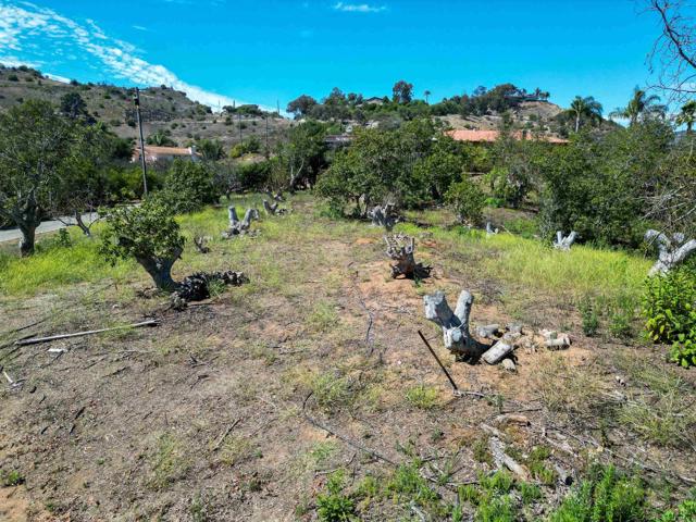 Detail Gallery Image 16 of 17 For Rainbow Crest Rd, Fallbrook,  CA 92028 - – Beds | – Baths