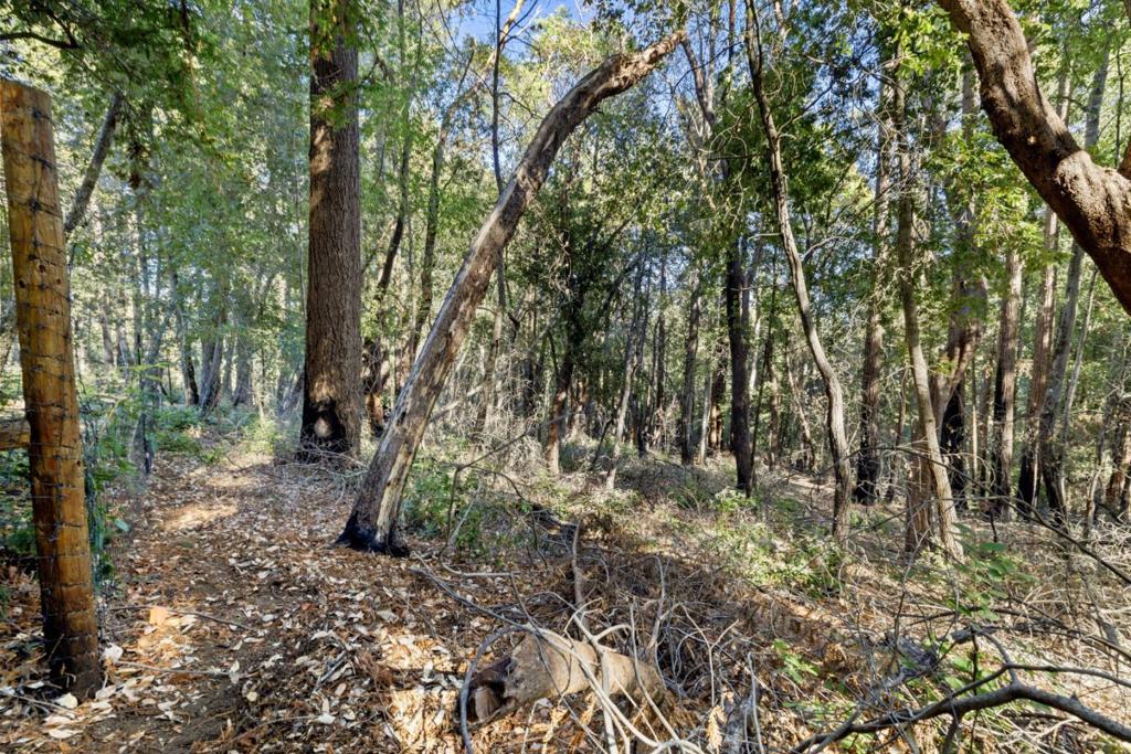 MLS #ML81986063 image #7