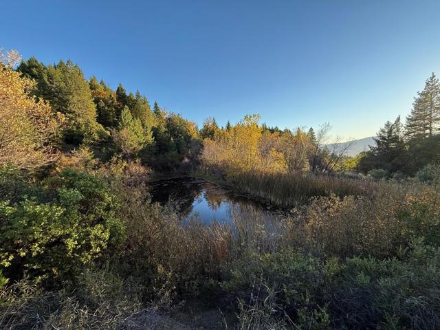 47211 Fox Rock Road, Laytonville CA: https://media.crmls.org/mediaz/99d9130a-4246-4c0f-b478-a0794fae26c5.jpg