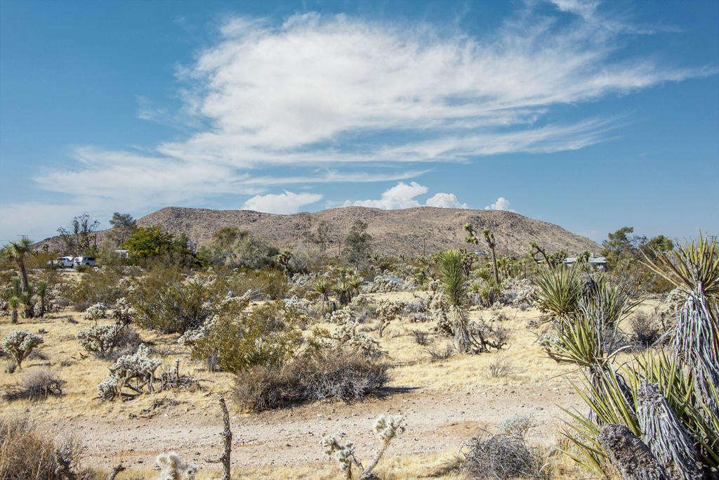 MLS #219130826PS image #12