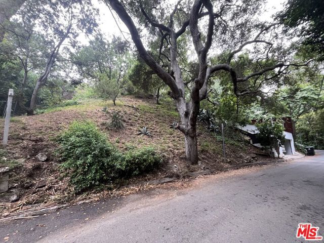 10074 Westwanda Drive, Beverly Hills CA: https://media.crmls.org/mediaz/99e16e56-f0a0-46cf-9804-ba52e9465498.jpg