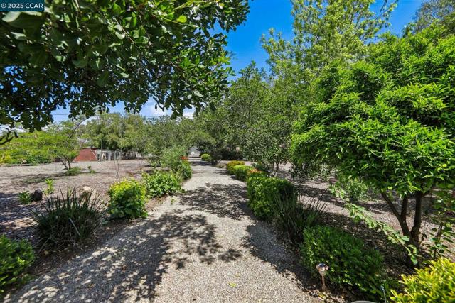 91 Lozoya Way, Oakley CA: https://media.crmls.org/mediaz/99e4364c-901c-4740-b491-b58be9694cbe.jpg