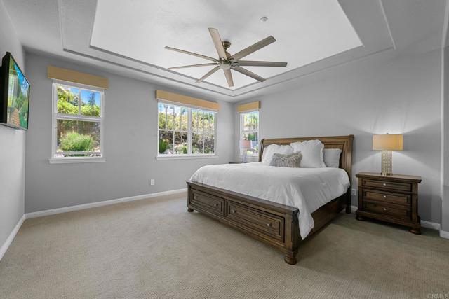 593 Paloma Court, Encinitas CA: https://media.crmls.org/mediaz/99e54810-f66e-4e1f-ac50-5ee92938dd12.jpg