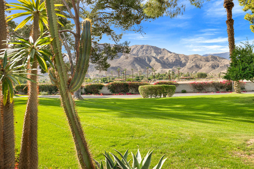 MLS #219139176DA image #45