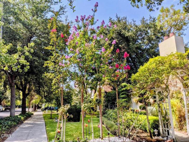 Detail Gallery Image 38 of 45 For 2156 El Molino Pl, San Marino,  CA 91108 - 3 Beds | 2 Baths