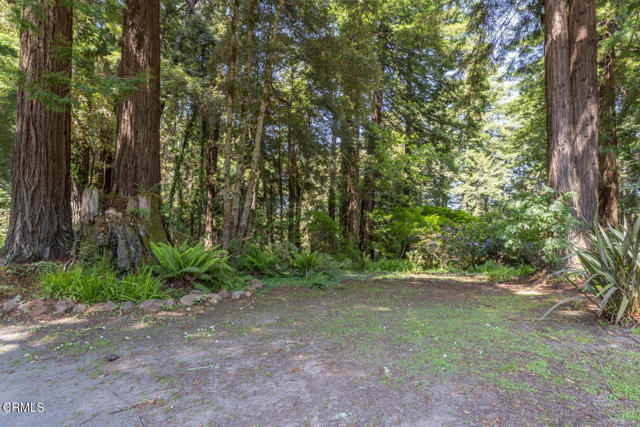32450 32450 Simpson Lane, Fort Bragg CA: https://media.crmls.org/mediaz/99f5a784-502c-4504-9882-f48715394430.jpg