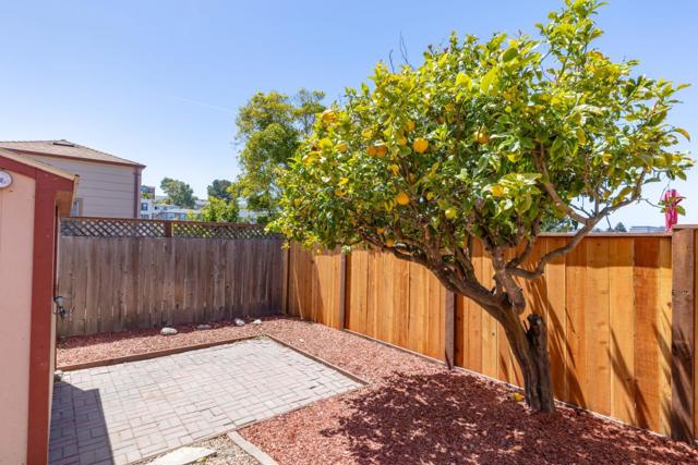 441 Hazel Avenue, San Bruno CA: https://media.crmls.org/mediaz/9a02fc48-9445-4c65-8be2-15b660b3c568.jpg