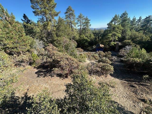 0 Howland Road, Idyllwild CA: https://media.crmls.org/mediaz/9a0aad77-c3f4-4c70-98f1-173939bfef69.jpg