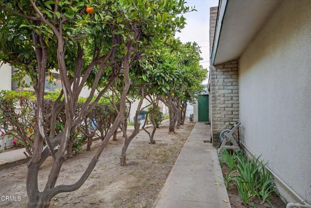 640 Fernwood Drive, Oxnard CA: https://media.crmls.org/mediaz/9a0e3f6a-d2a6-4410-a831-499d18ab44df.jpg