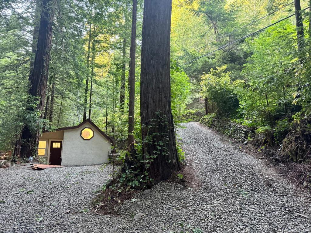 14251 Pescadero Creek Road #4
