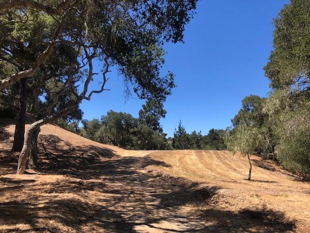 7735 Paseo Venado (Lot 82), Monterey CA: https://media.crmls.org/mediaz/9a2a6524-5237-436a-8a16-2c40de0f6ee8.jpg