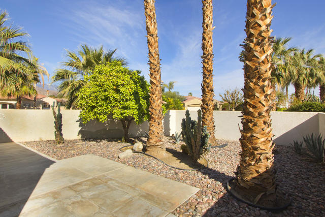 5 Novato Terrace, Rancho Mirage CA: https://media.crmls.org/mediaz/9a2dba2e-ca0f-4e28-a90a-61d6ddc6ad0b.jpg