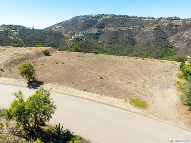 17928 El Brazo, Rancho Santa Fe CA: https://media.crmls.org/mediaz/9a2eb593-b787-4900-a813-a93a5408b651.jpg