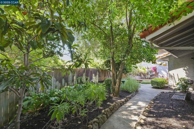 1020 Molad Ct, Concord CA: https://media.crmls.org/mediaz/9a2f07d9-41c3-4d1c-a452-b05f6783efbc.jpg