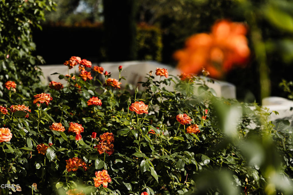https://media.crmls.org/mediaz/9a317ee2-e0ce-498d-955e-cf82465cd7dd.jpg?preset=X-Large