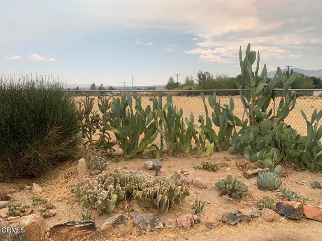 Detail Gallery Image 42 of 51 For 31212 Rabbit Springs Rd, Lucerne Valley,  CA 92356 - 3 Beds | 2 Baths