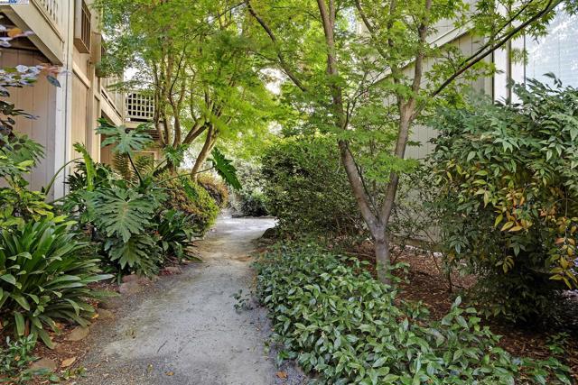 2719 Oak Rd, Walnut Creek CA: https://media.crmls.org/mediaz/9a3b06f3-93b1-4723-989c-41fa758af87a.jpg