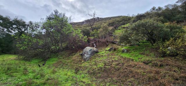 19832 Japatul Rd, Alpine CA: https://media.crmls.org/mediaz/9a3b2b0b-3359-4cf5-82b2-e26abec6f00f.jpg
