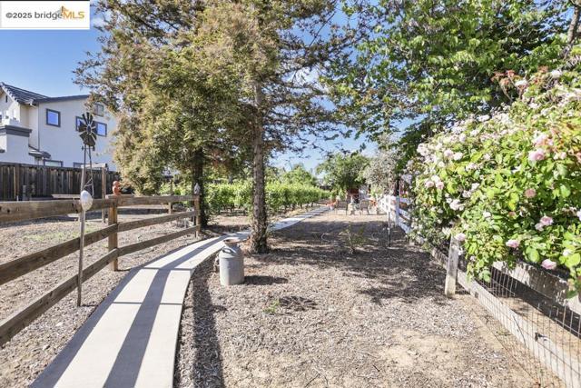 3215 Ohara Ave, Brentwood CA: https://media.crmls.org/mediaz/9a419a81-2f28-48c4-ab0d-60cbf89d003a.jpg