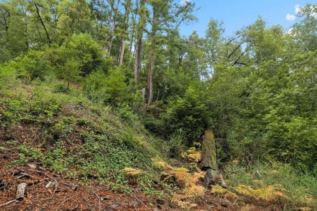 0 Hillside Drive, Boulder Creek CA: https://media.crmls.org/mediaz/9a481287-6357-4064-ab55-93cfb9e97dd9.jpg