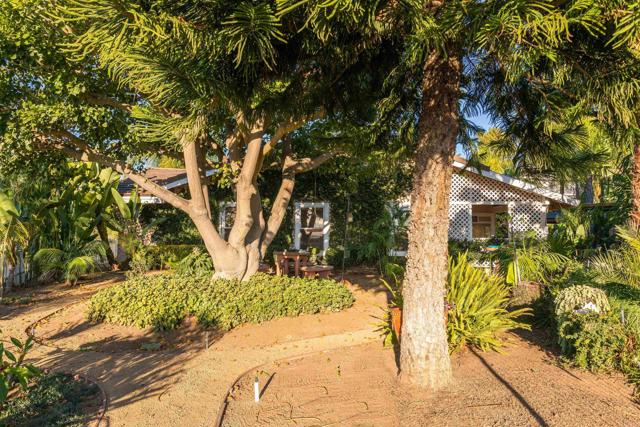 Detail Gallery Image 35 of 59 For 351 Sheila Ln, Fallbrook,  CA 92028 - 3 Beds | 3 Baths