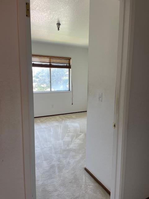 210 Vista Prieta Court, Santa Cruz CA: https://media.crmls.org/mediaz/9a642628-385b-4fe7-829f-ca4dd836e7ef.jpg