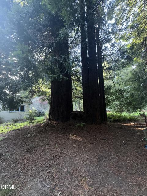 31750 Pudding Creek Road, Fort Bragg CA: https://media.crmls.org/mediaz/9a66365d-da33-4f43-ad8f-a02c4a48a2fa.jpg