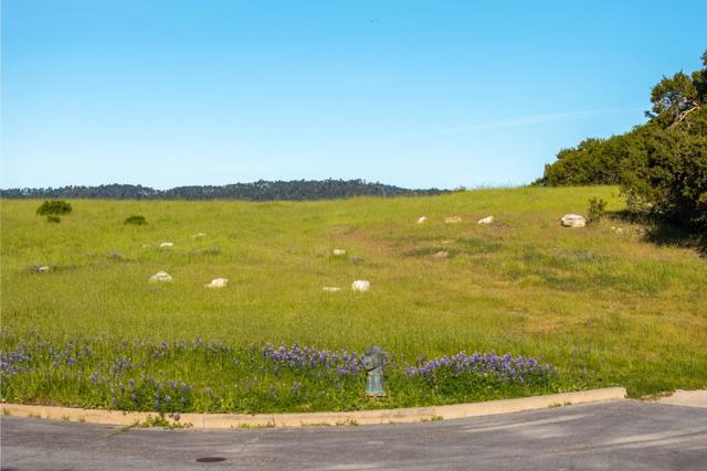 25825 Via Malpaso (Lot 68), Carmel CA: https://media.crmls.org/mediaz/9a68acca-38f9-4559-94a3-1b2a399c4af0.jpg