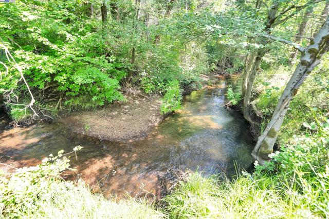 13567 Raccoon Mountain Rd, Grass Valley CA: https://media.crmls.org/mediaz/9a783bee-b506-406c-b10e-d50057e5a989.jpg