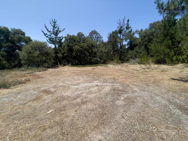 58 Desmond Road, Salinas CA: https://media.crmls.org/mediaz/9a7d0d2d-9de0-4cb4-ab5b-e1d15c5cab73.jpg