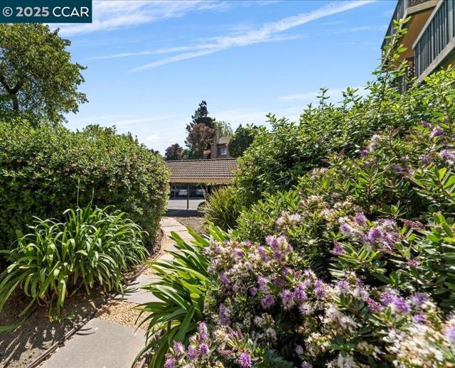 13700 San Pablo Ave, San Pablo CA: https://media.crmls.org/mediaz/9a805529-0f46-4d2a-9792-9b6fa6503165.jpg
