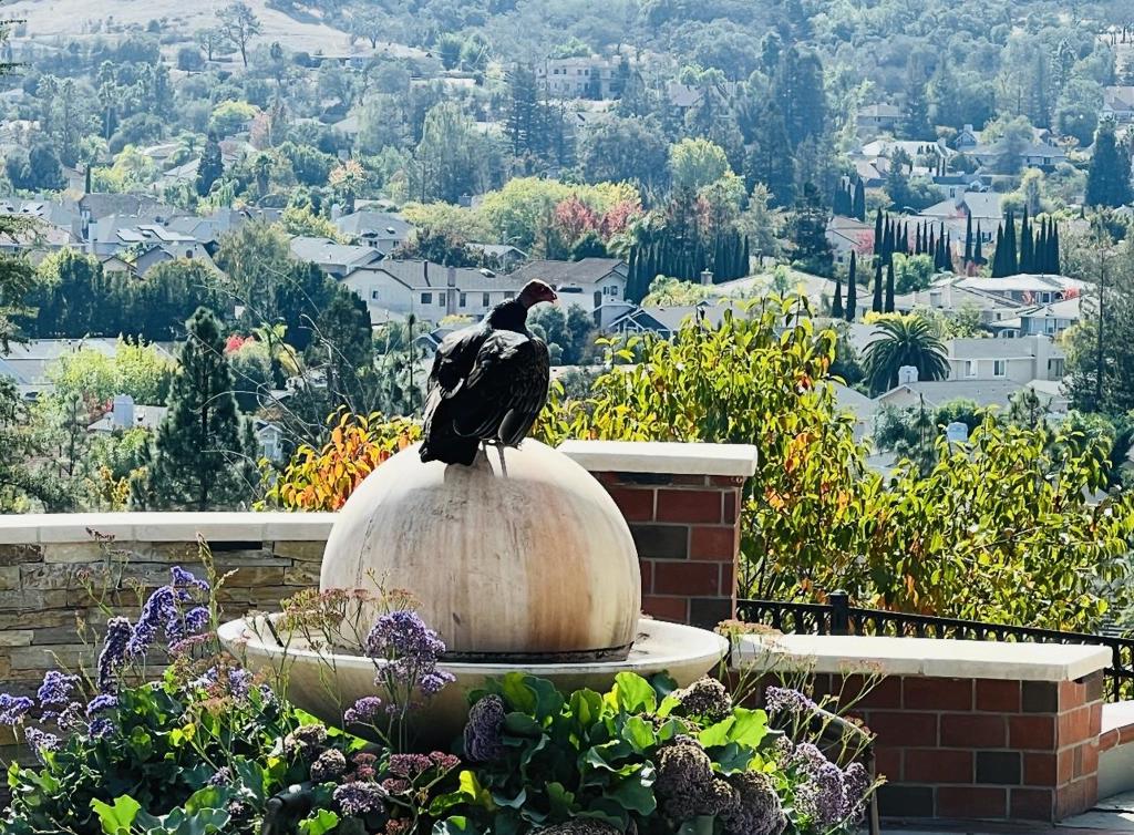 https://media.crmls.org/mediaz/9a8202c1-436c-4f41-a5d8-53c9c33d2560.jpg?preset=X-Large