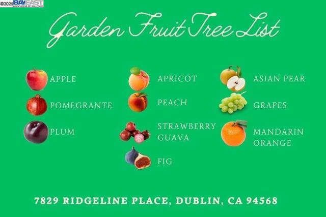 7829 Ridgeline Place, Dublin CA: https://media.crmls.org/mediaz/9a825ab0-f871-426f-be6a-ad94c0943a9f.jpg