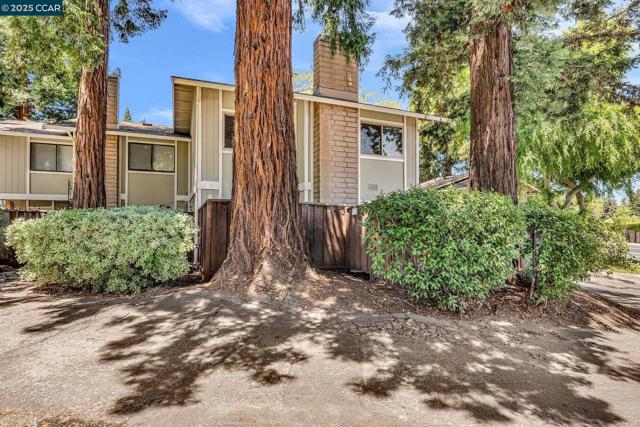 1081 San Ramon Valley Blvd, Danville CA: https://media.crmls.org/mediaz/9a8ace3e-f252-48af-bec6-d589377a9e26.jpg