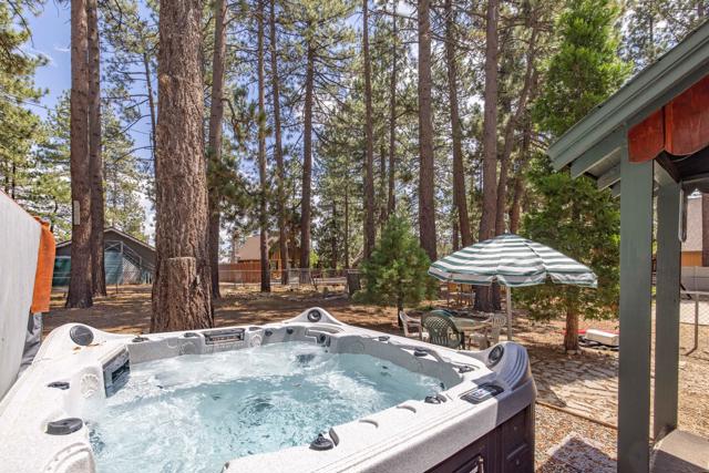 035_Backyard Spa