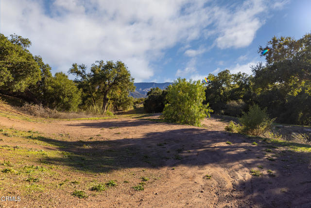 380 Valley View Road, Ojai CA: https://media.crmls.org/mediaz/9a947d00-4217-447e-9f16-c9925e2c7818.jpg