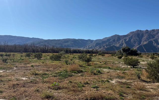 Detail Gallery Image 2 of 3 For Borrego Springs Rd, Borrego Springs,  CA 92004 - – Beds | – Baths