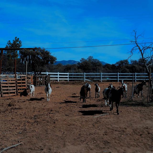Detail Gallery Image 13 of 17 For 41945 Apple Rd, Anza,  CA 92539 - 3 Beds | 1 Baths