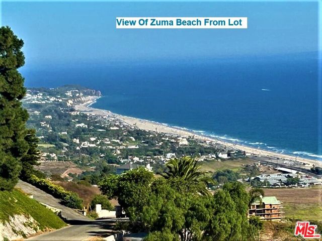 21260 Beach View Estate Drive photo 4