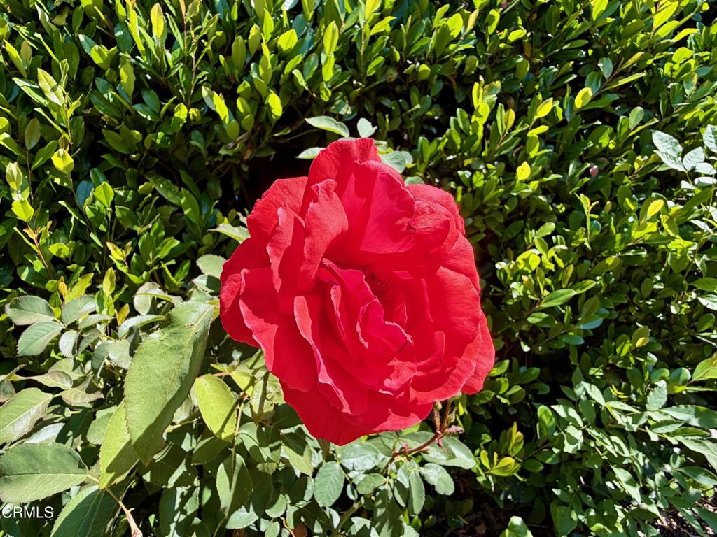 https://media.crmls.org/mediaz/9ab328be-878f-4a26-b5c1-1bc09ff69bd0.jpg?preset=X-Large